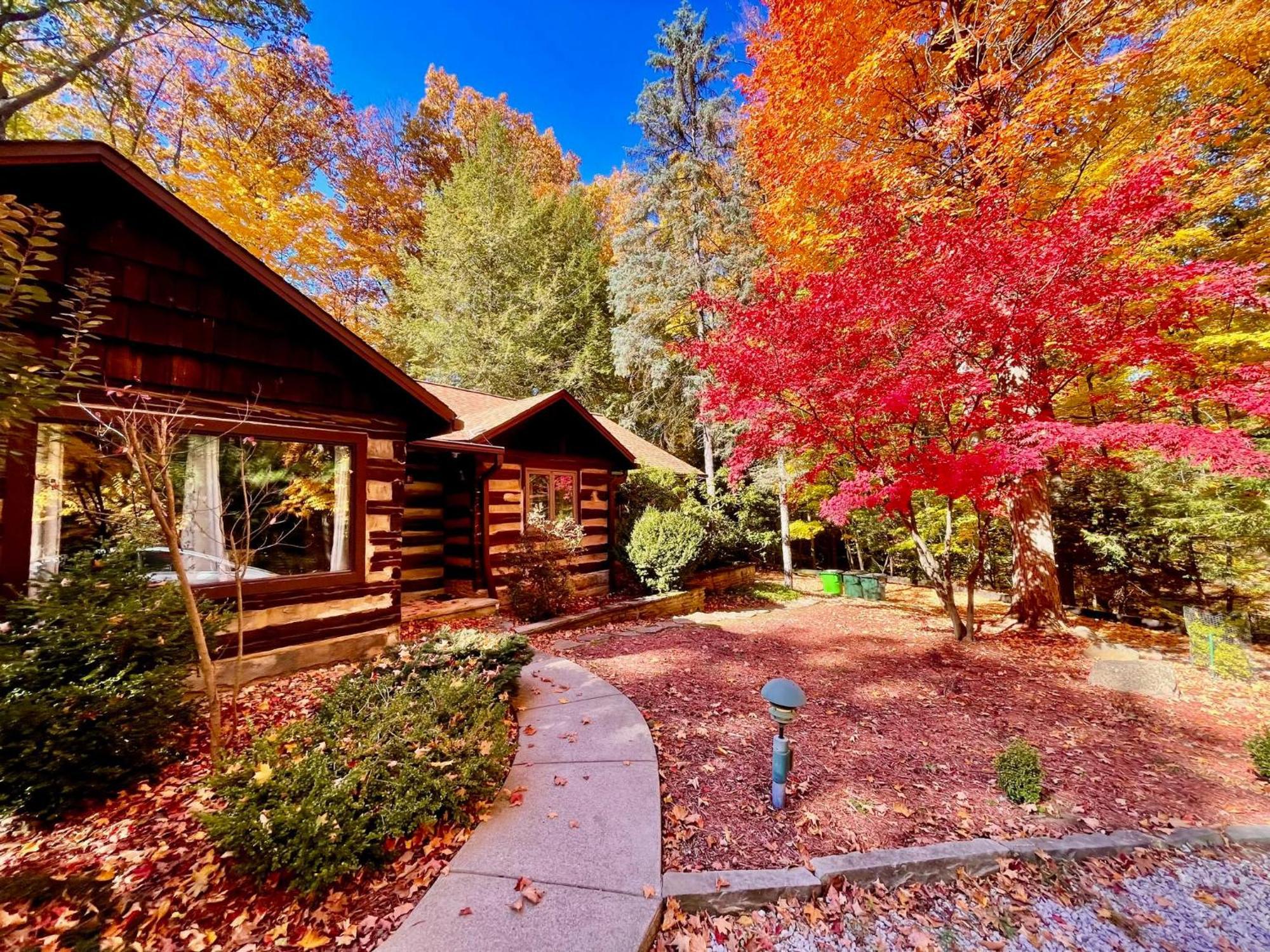 Log Cabin - Natures Oasis - Fire Pit & Gazebo Cleveland Exterior foto