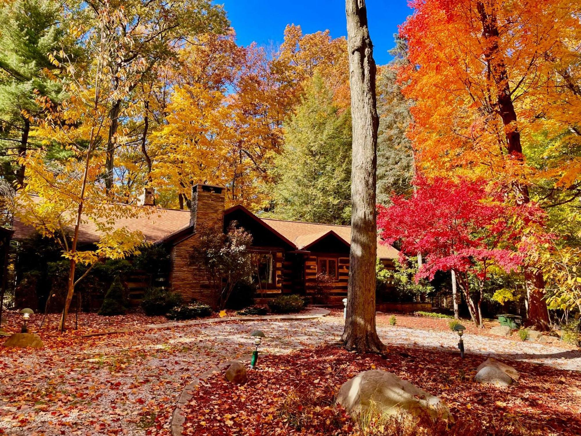 Log Cabin - Natures Oasis - Fire Pit & Gazebo Cleveland Exterior foto